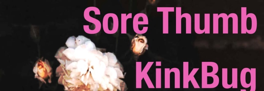 Sore Thumb, KinkBug, and Crystal Logic at The Starry Plough