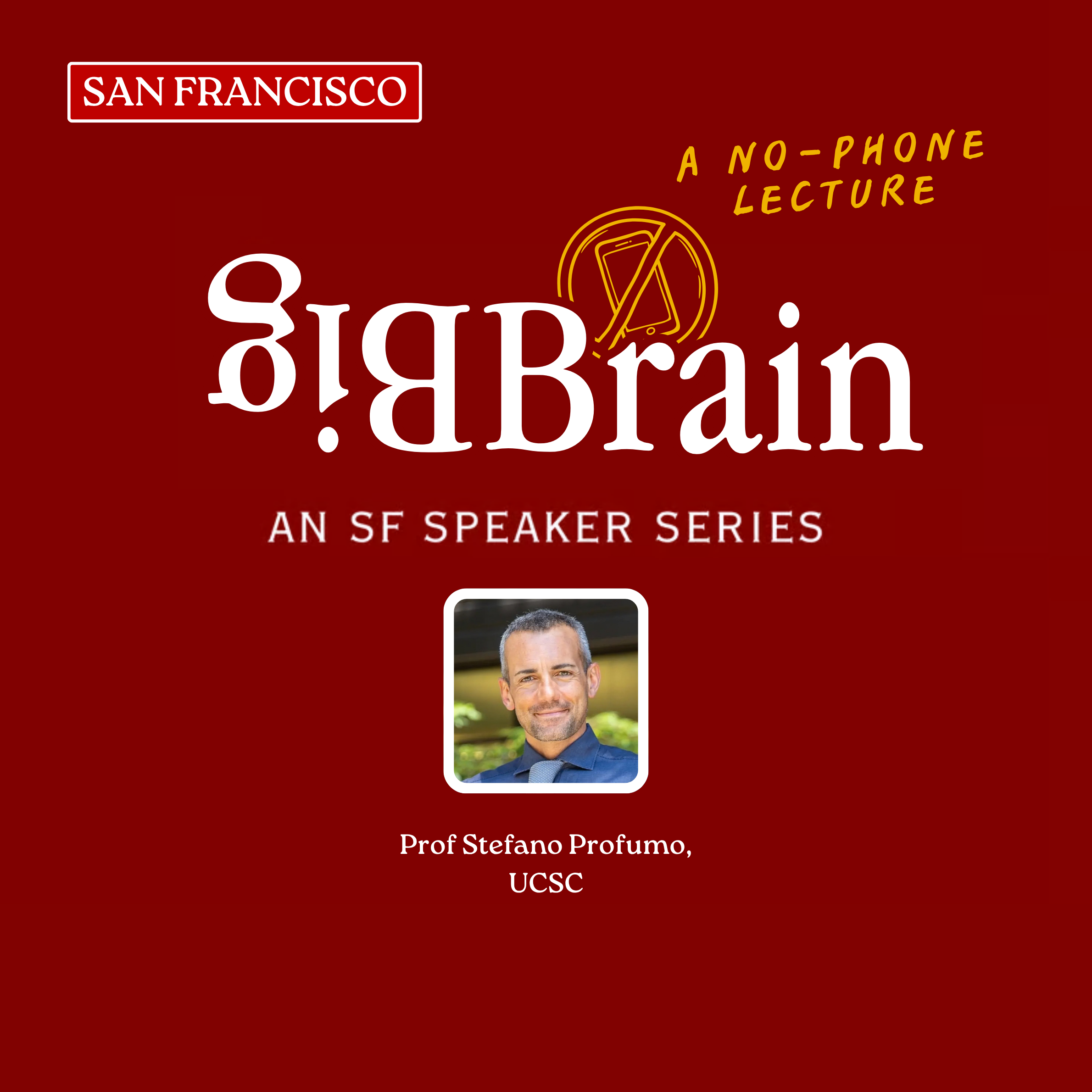 Dark Matter and Black Holes