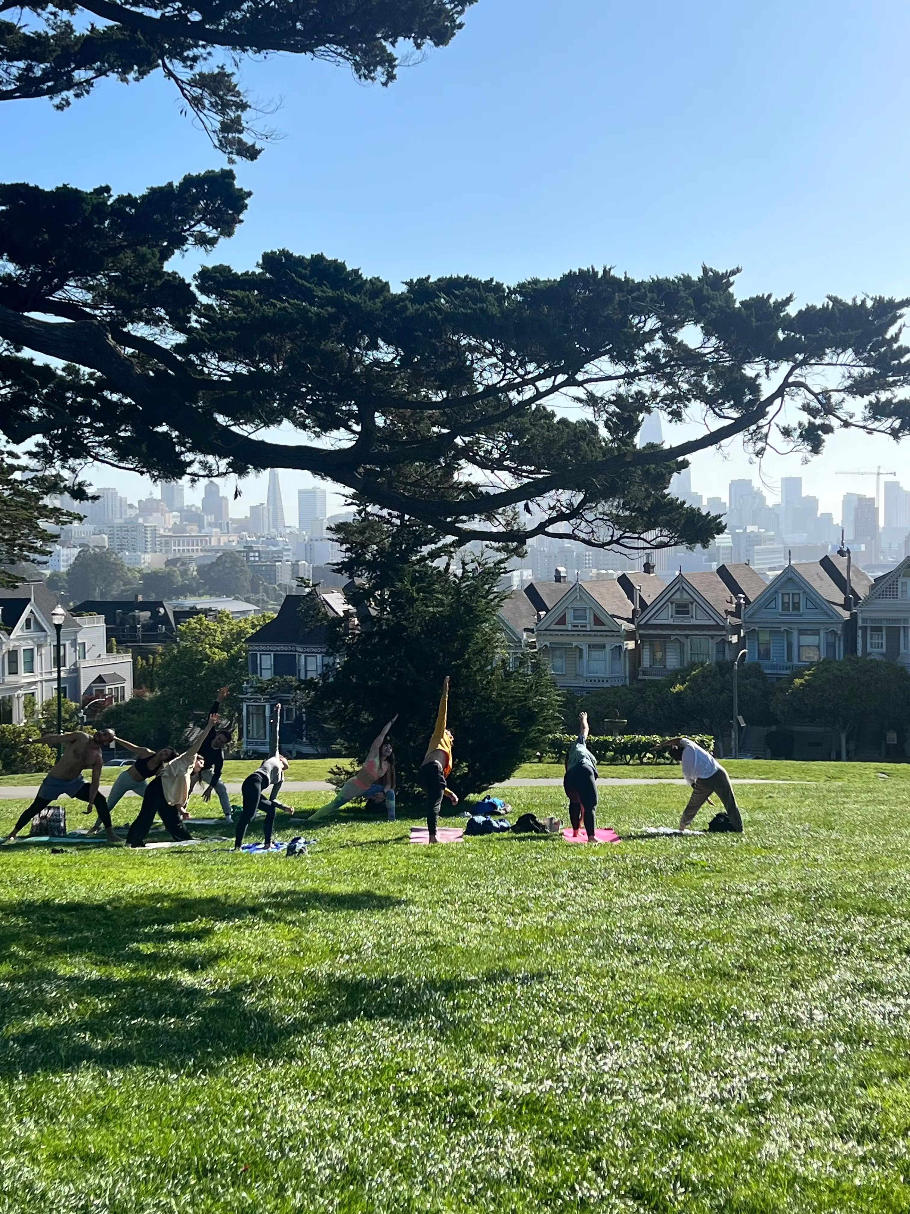 Morning Yoga at Alamo