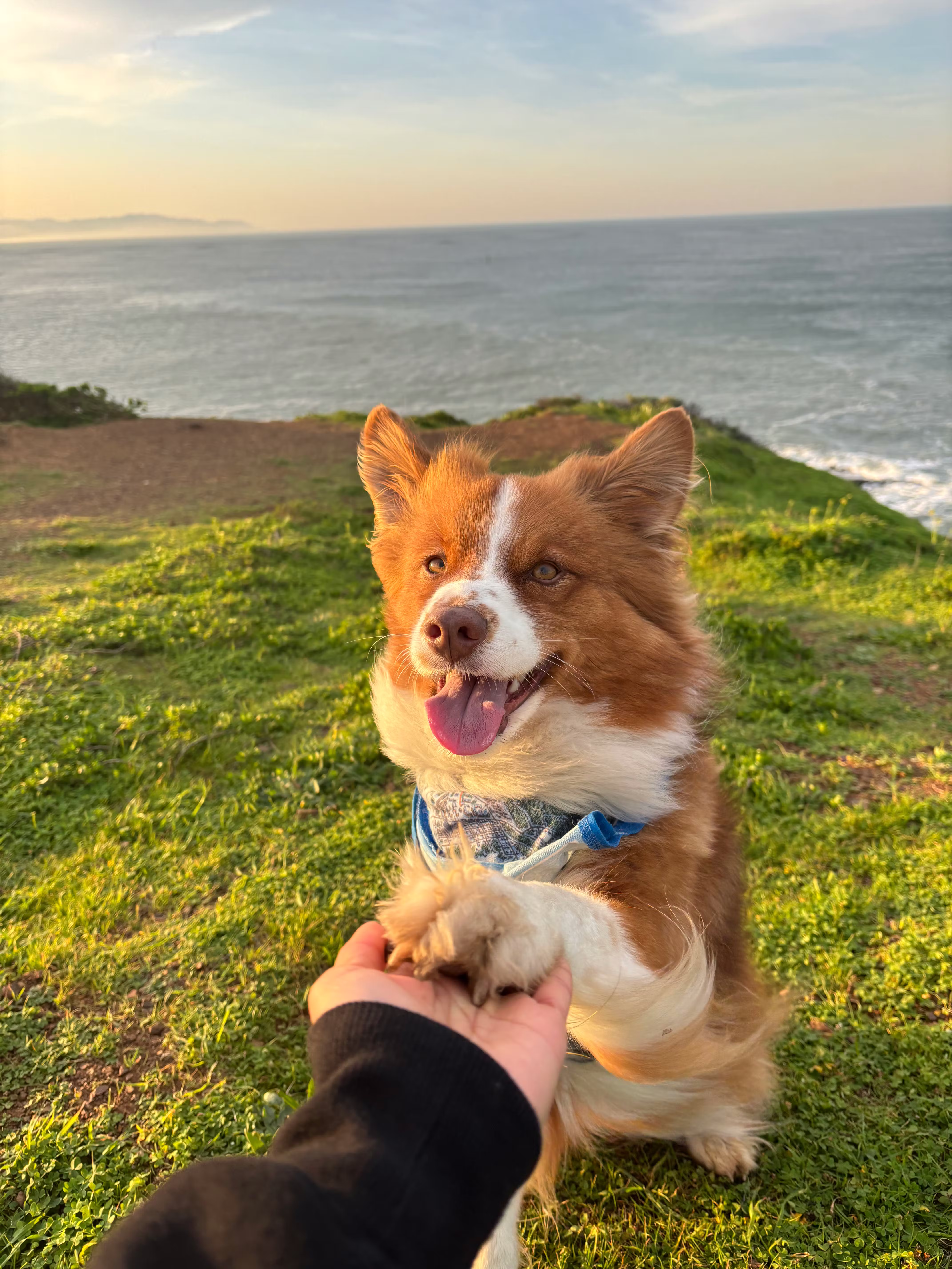 Land’s End Hike (ft. Leia)